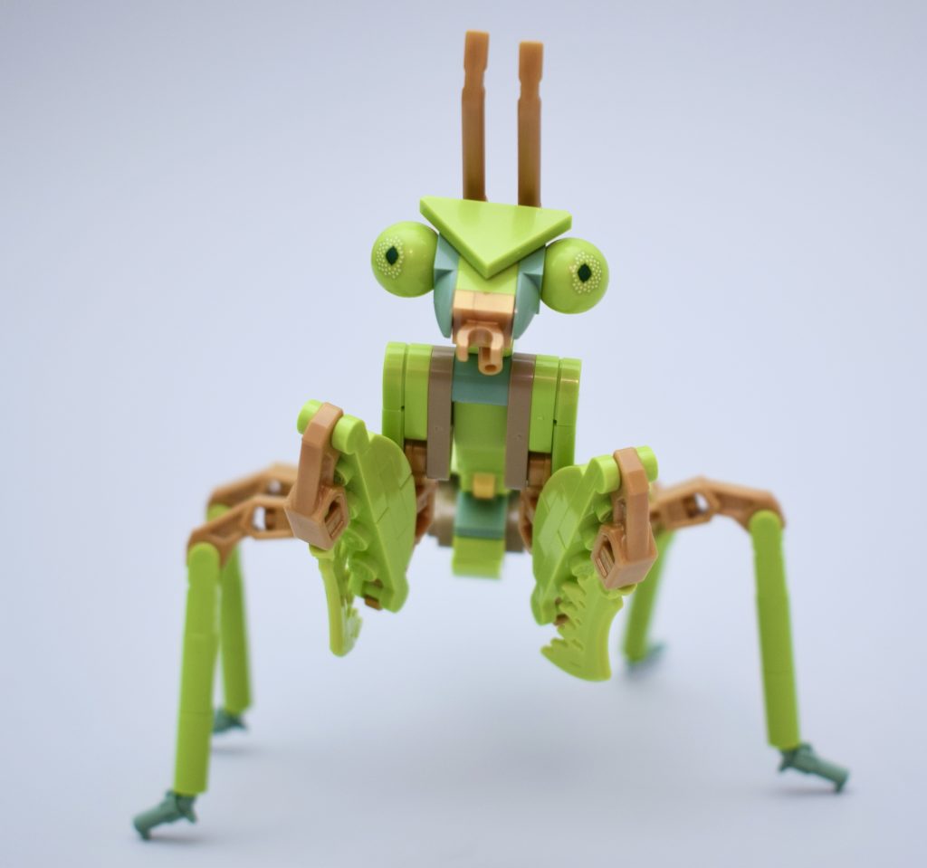 LEGO Ideas 21342 The Insects Collection Review 30 1024x959