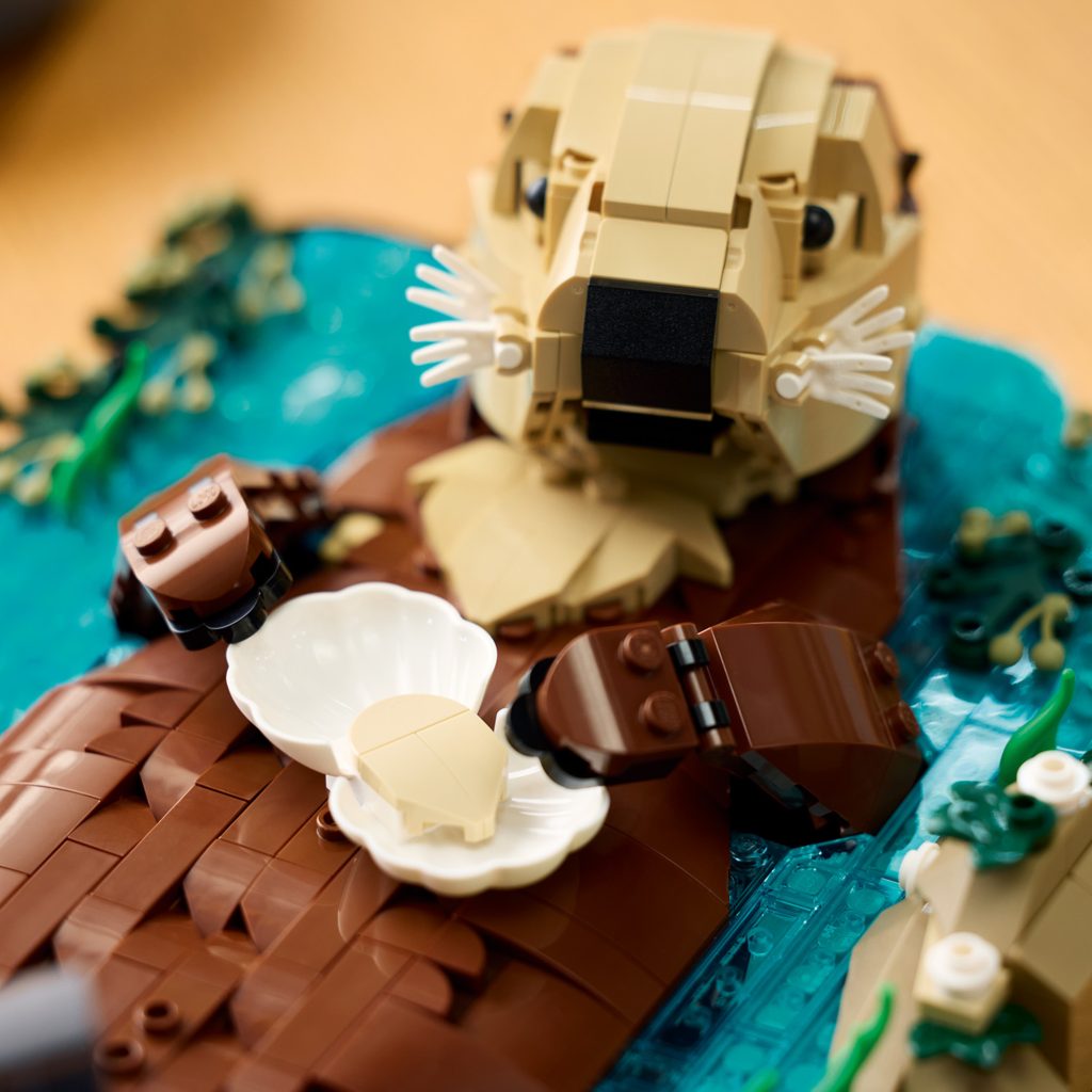 LEGO Ideas 21366 floating sea otters 2 1024x1024