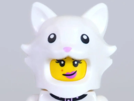 71051 cat head