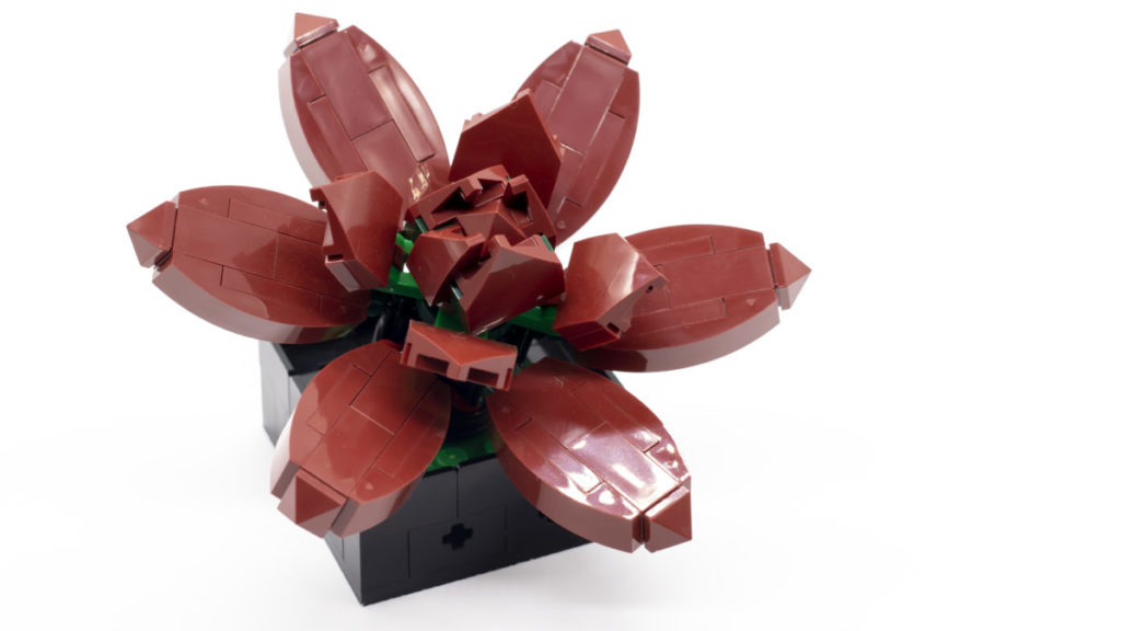 LEGO The Botanical Collection 10309 Succulents 20 1024x576