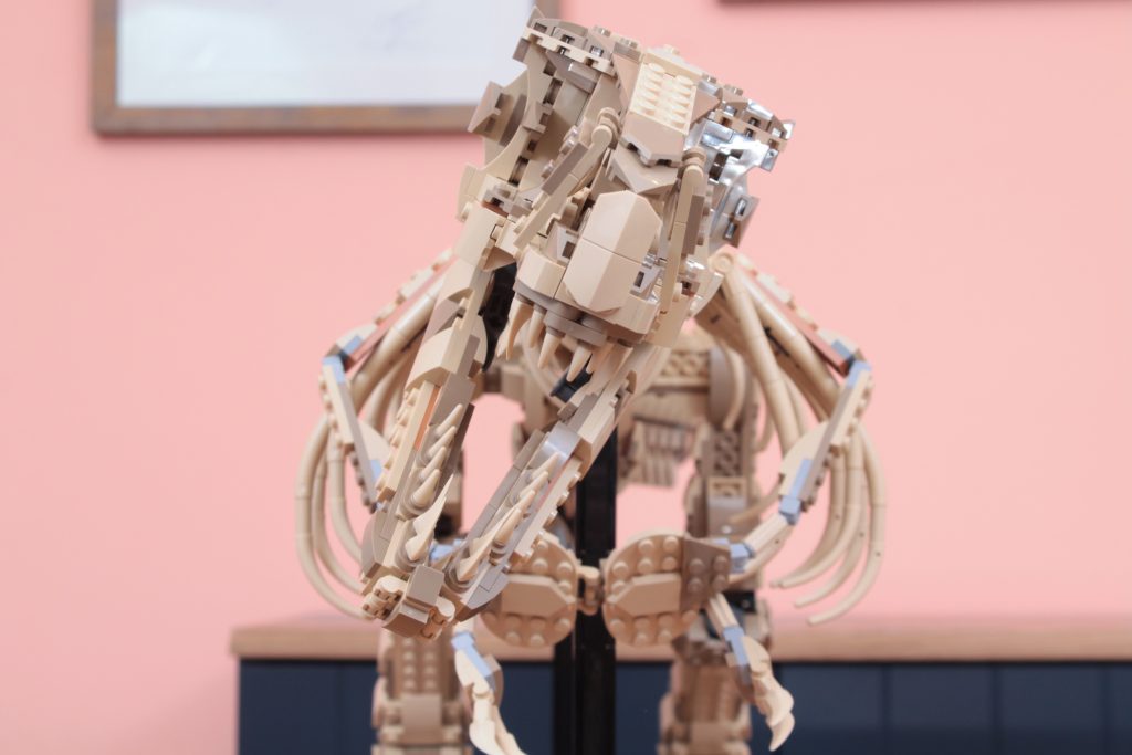 LEGO Jurassic Park 76968 Dinosaur Fossils Tyrannosaurus rex review 16 1024x683